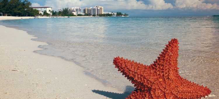 Les endroits les plus populaires lors d’un séjour de luxe aux Bahamas