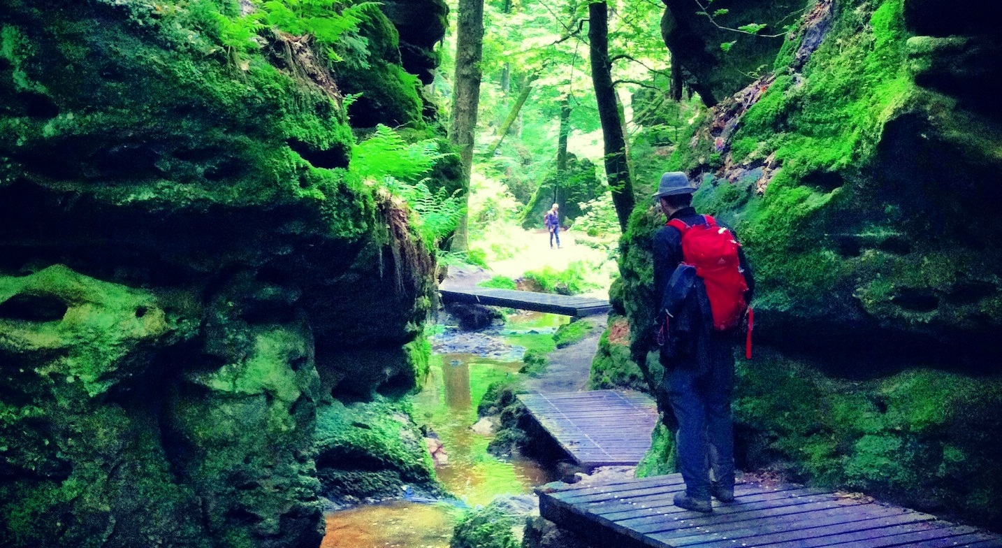 Voyage en pleine nature : quelle destination choisir ?