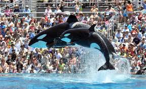 sea-world