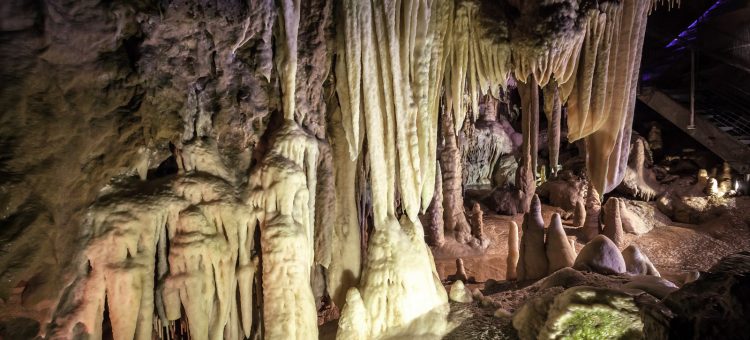 Partez à la découverte de l’univers souterrain des Pyrénées