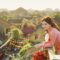 Vietnam sur mesure : comment construire un voyage qui vous ressemble ?